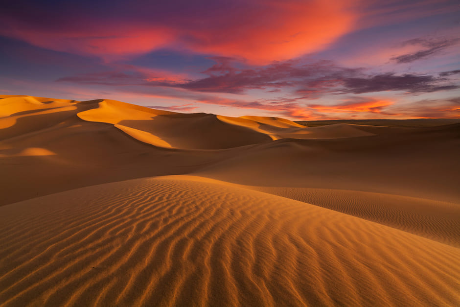 I Saharaöknen kan temperaturen stiga upp till 50 grader
