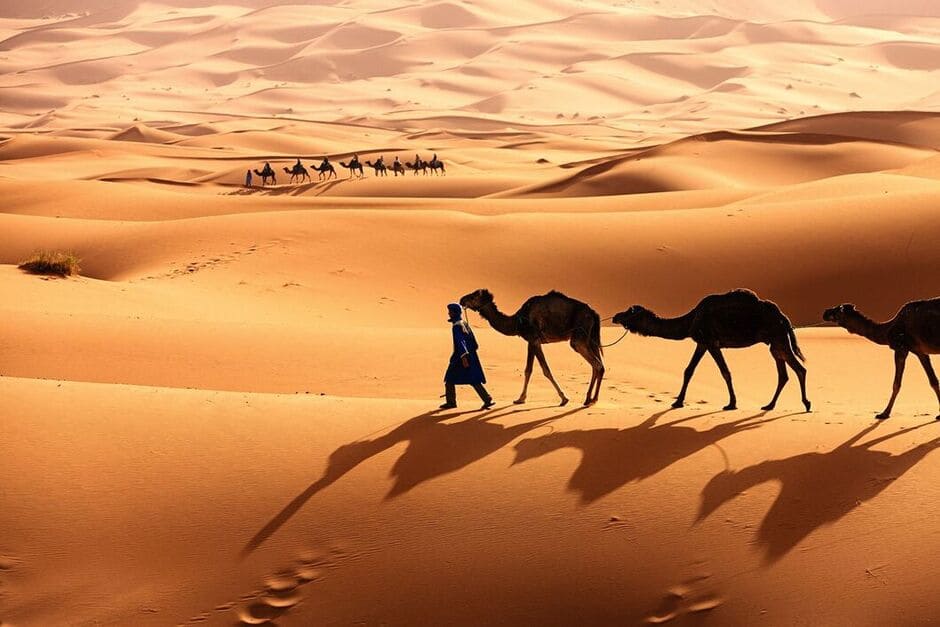 Trots torkan är det en storslagen upplevelse att besöka Saharaöknen