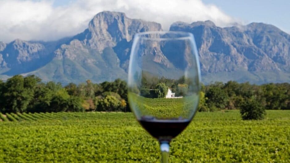 Winelands är vida känt för sin fina vinproduktion