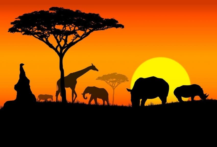 I Afrika visar naturen verkligen upp sin mångfald